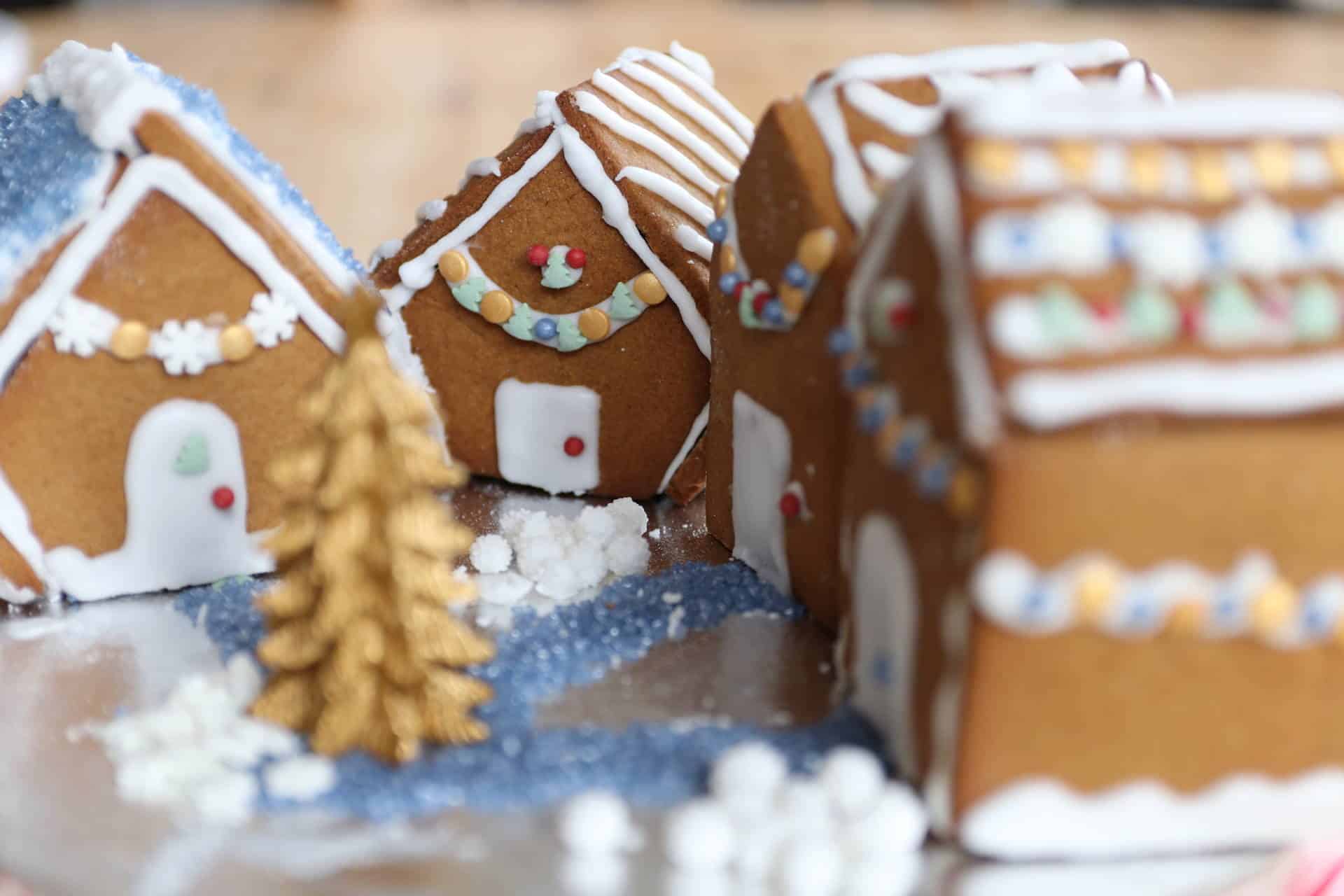 Gluten Free Gingerbread Houses Recipe Dairy Free Low Fodmap