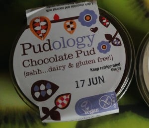 pudology-chocolate-pudding-review