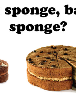 big-sponge-baby-sponge
