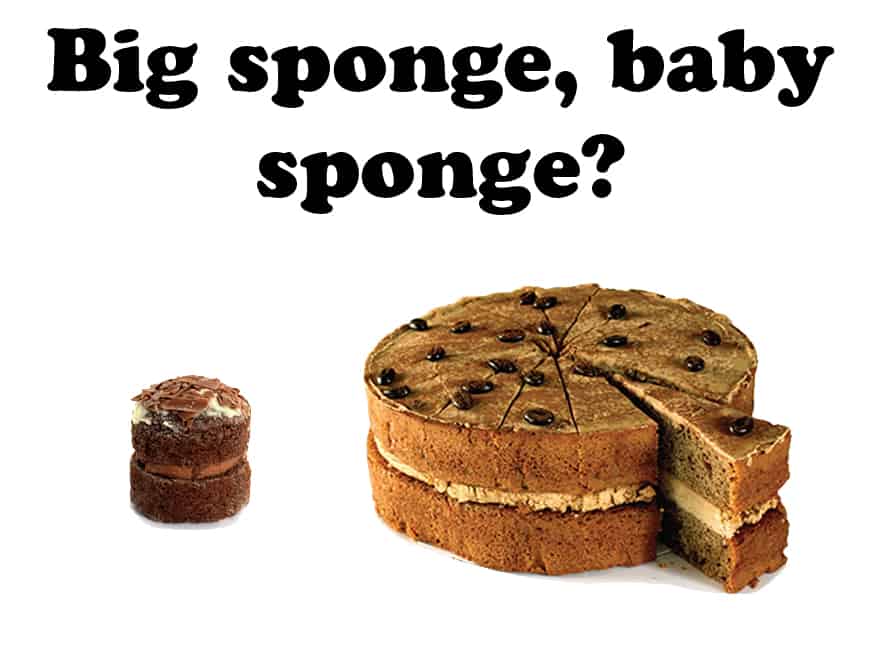 big-sponge-baby-sponge