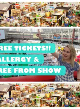 allergy & free from show north