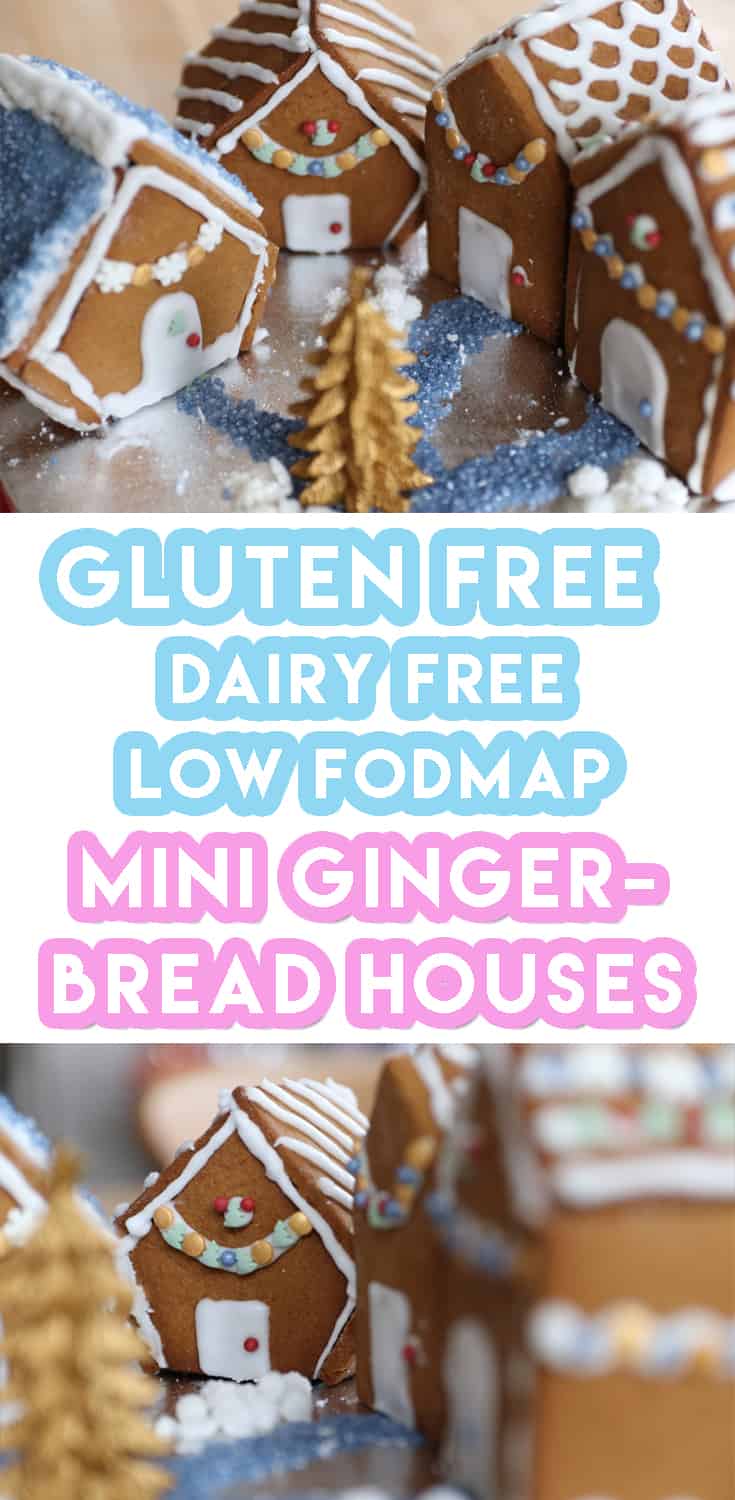 Gluten Free Gingerbread Houses Recipe (dairy free & low FODMAP)