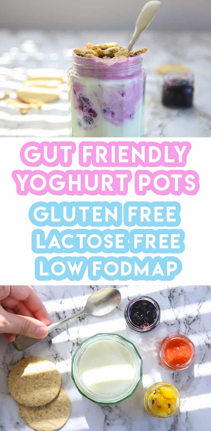 3 Homemade Fruit Corner Yoghurt Pots for Weekly Meal Prep (gluten free, low FODMAP)