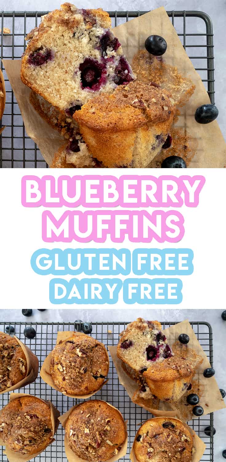 Gluten Free Blueberry Muffins Recipe (dairy free) Jumbo!