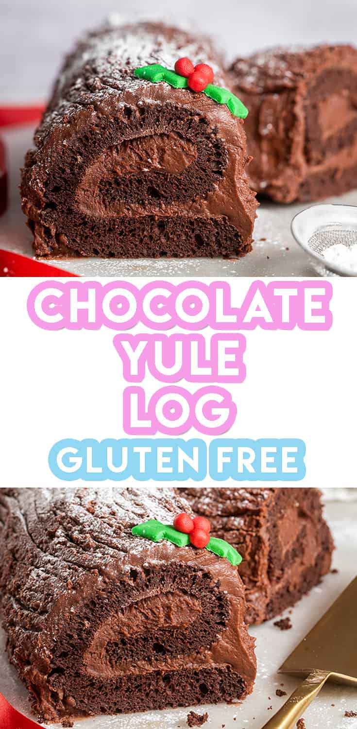 Chocolate yule log cake recipe! A bûche de Noël with glutenfree and natural  colouring powder options… :)