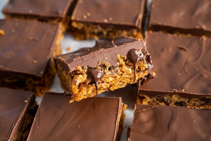 4-Ingredient Chocolate Peanut Butter Bars Recipe (gluten free, vegan, low FODMAP)