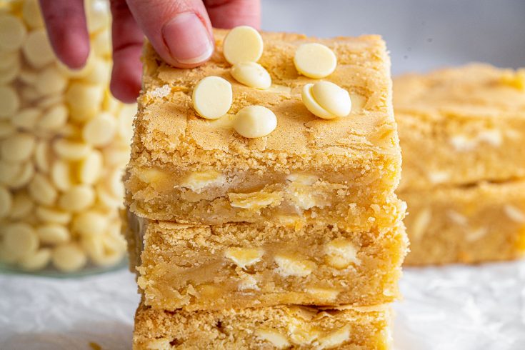 One-Bowl Gluten-free Blondies Recipe (low FODMAP/dairy-free/vegan option)