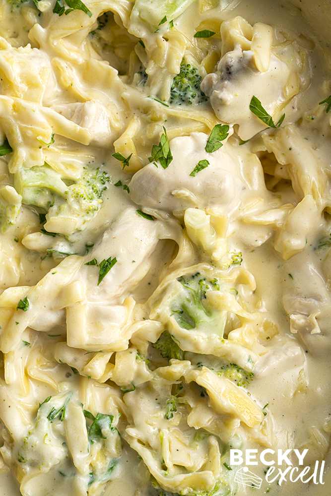 One-Pot Chicken Alfredo Pasta Recipe